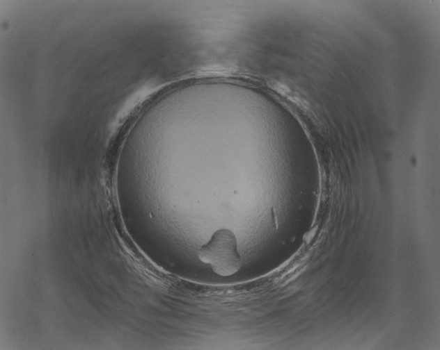 X0000070211454200605301350