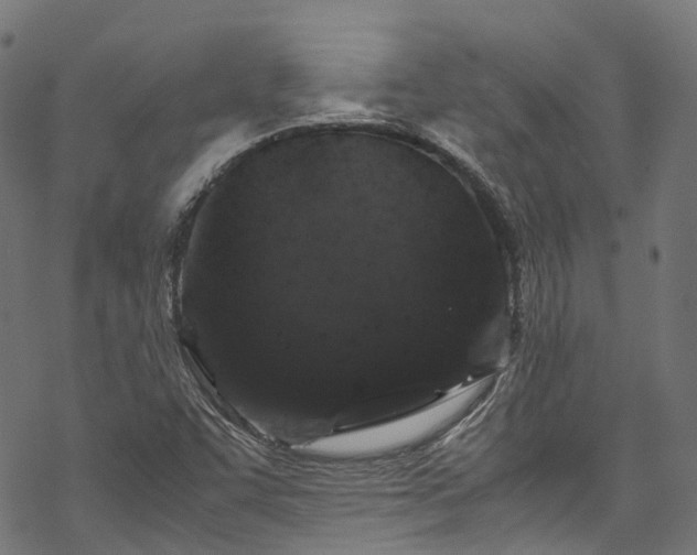 X0000070211455200605301350