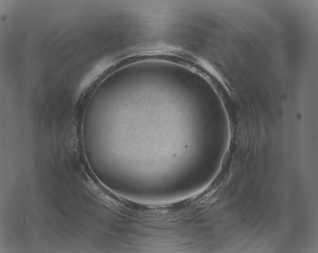 X0000070211456200605301350