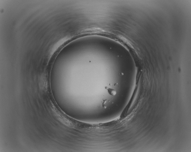 X0000070211458200605301350