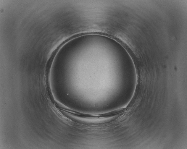 X0000070211460200605301350