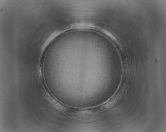 X0000070211462200605301350