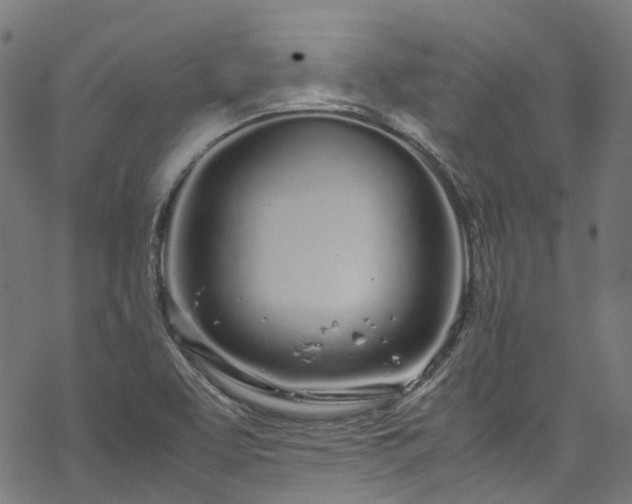 X0000070211463200605301350