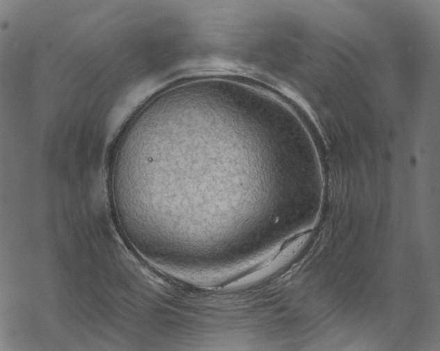 X0000070211464200605301350