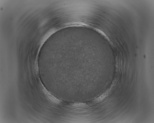 X0000070211466200605301350