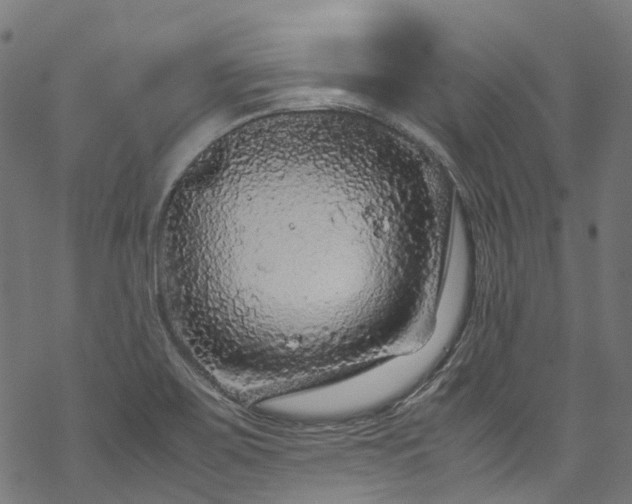 X0000070211467200605301350