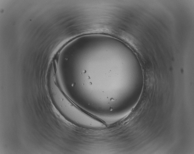 X0000070211468200605301350