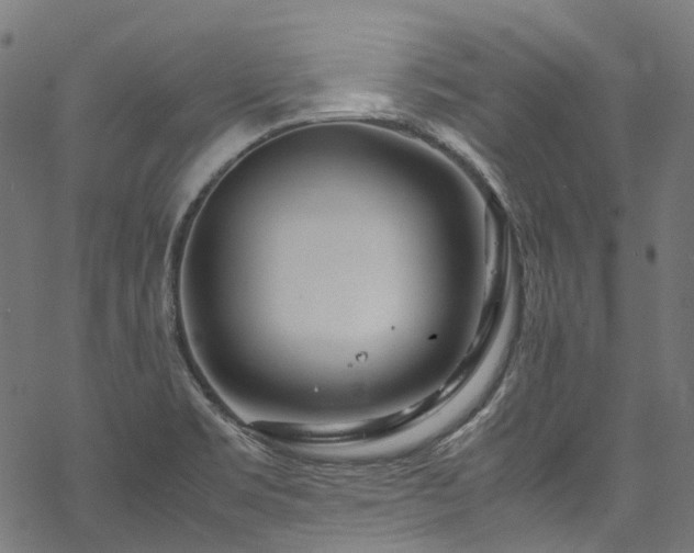 X0000070211469200605301350