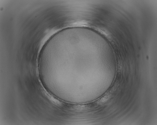 X0000070211470200605301350