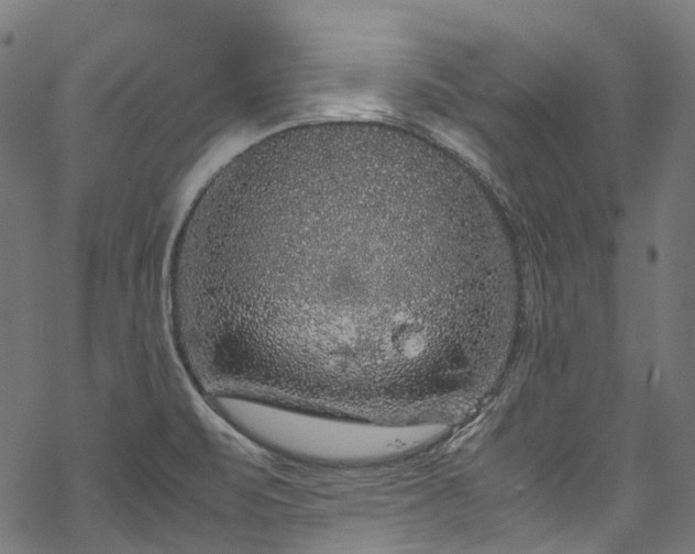 X0000070211471200605301350