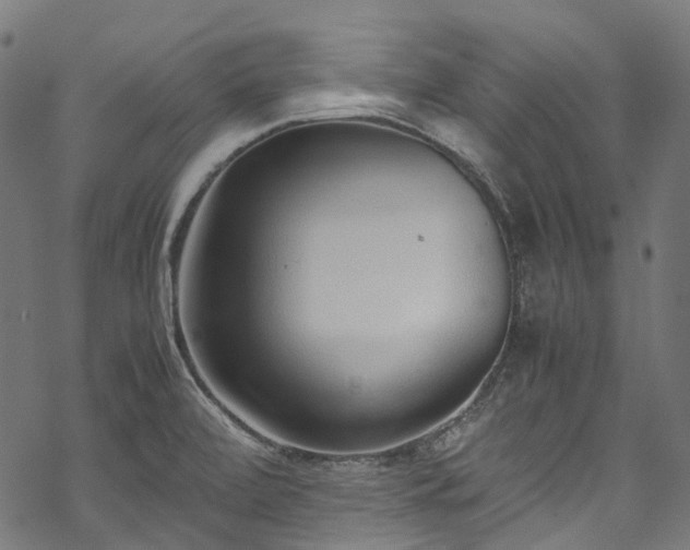 X0000070211472200605301350