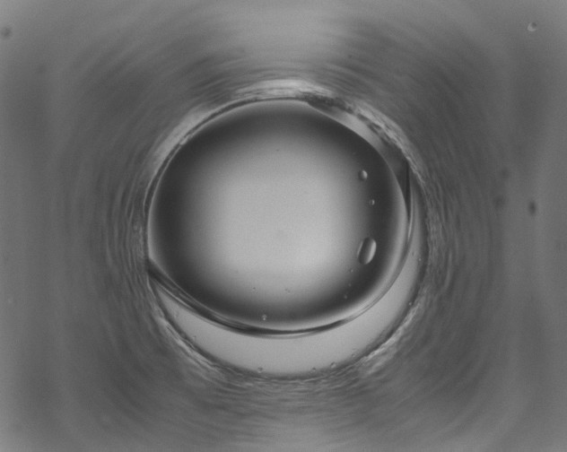 X0000070211473200605301350