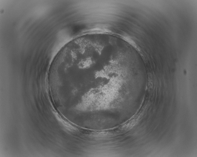 X0000070211474200605301350