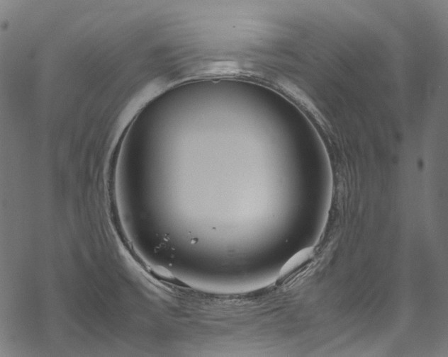 X0000070211475200605301350