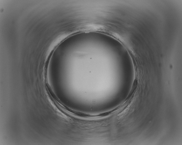 X0000070211477200605301350