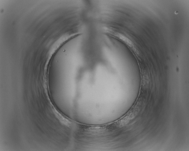 X0000070211478200605301350