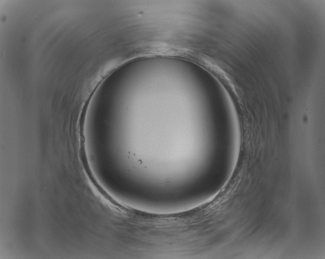 X0000070211479200605301350