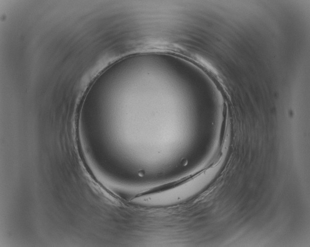 X0000070211480200605301350