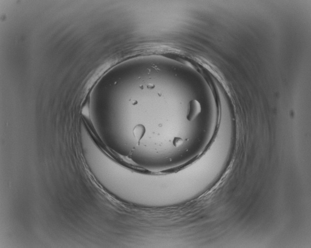 X0000070211481200605301350