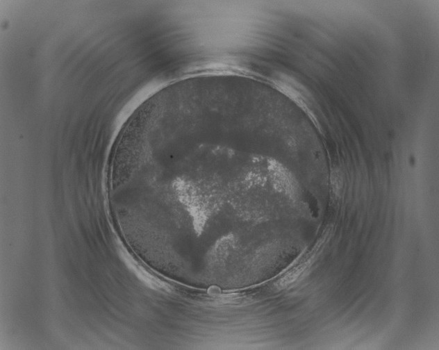 X0000070211482200605301350