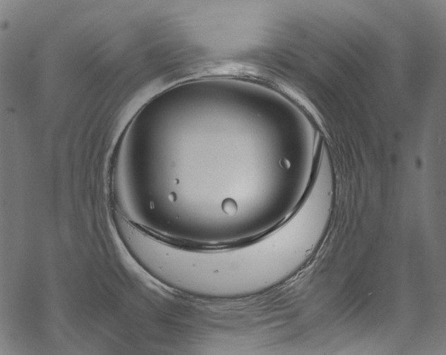 X0000070211483200605301350