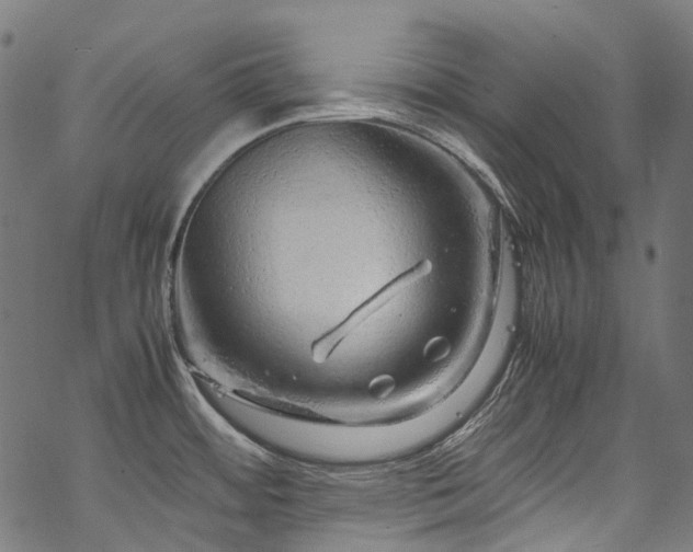 X0000070211484200605301350