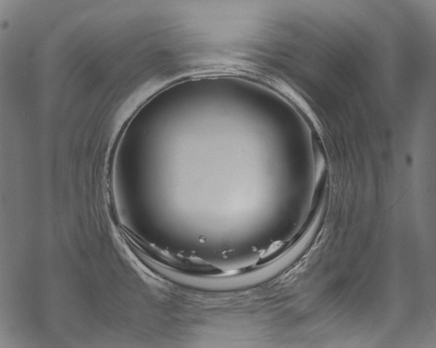 X0000070211485200605301350