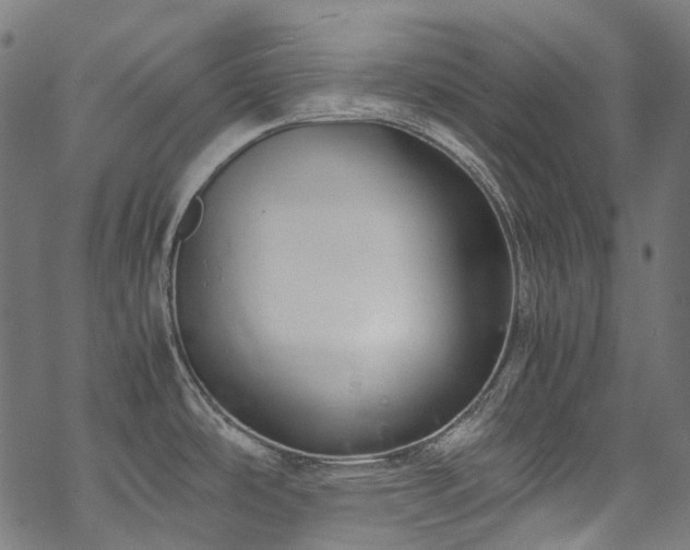 X0000070211486200605301350