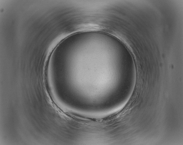 X0000070211488200605301350