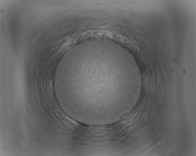 X0000070211489200605301349