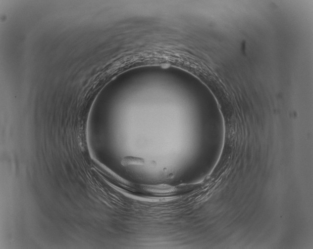 X0000070211490200605301349