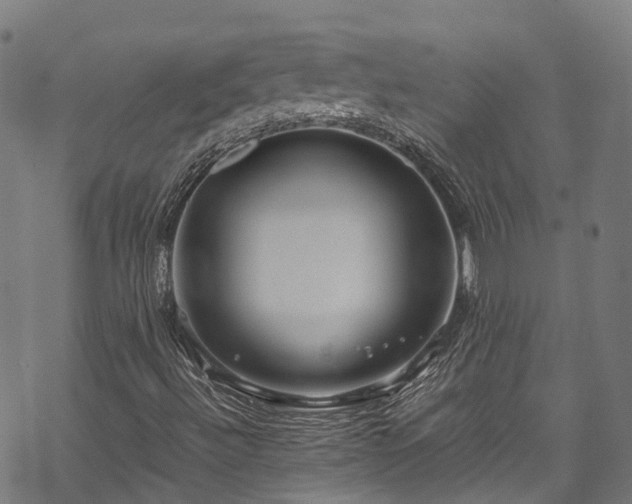 X0000070211492200605301349