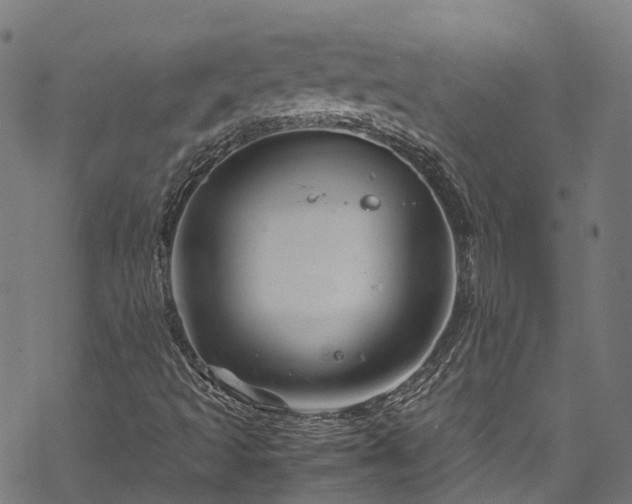 X0000070211493200605301349