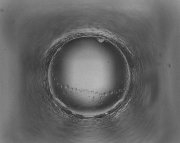 X0000070211494200605301349