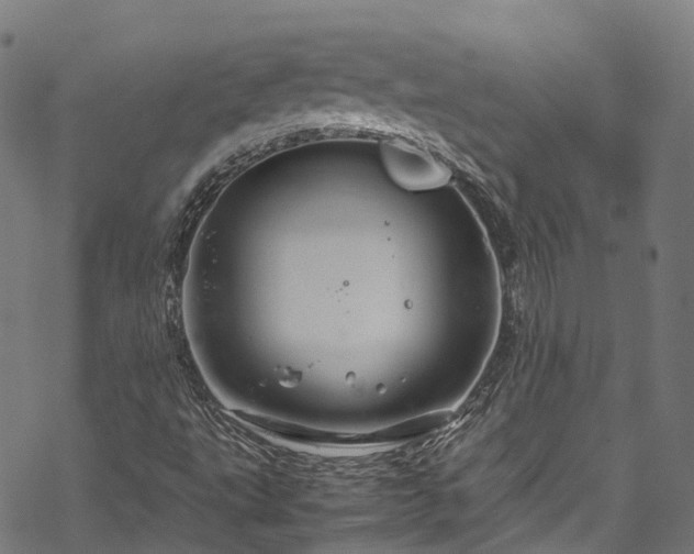 X0000070211495200605301349