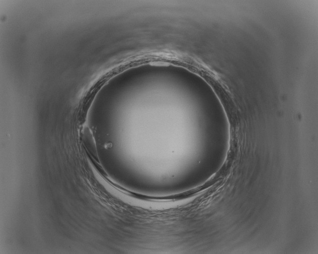 X0000070211496200605301349