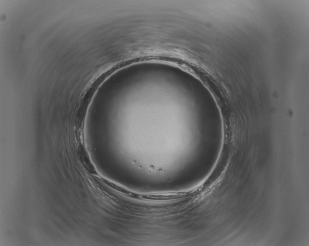 X0000070211497200605301349