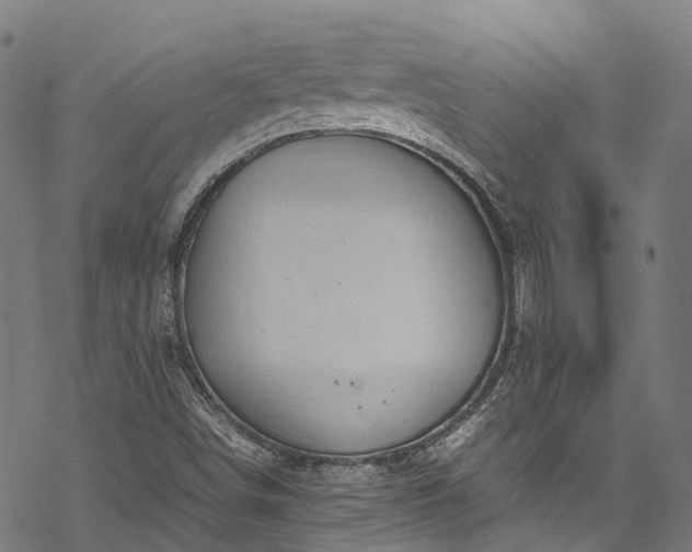 X0000070211498200605301349