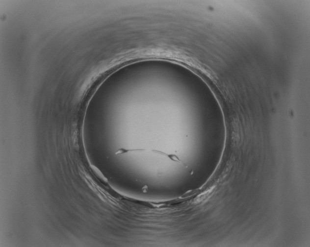 X0000070211499200605301349