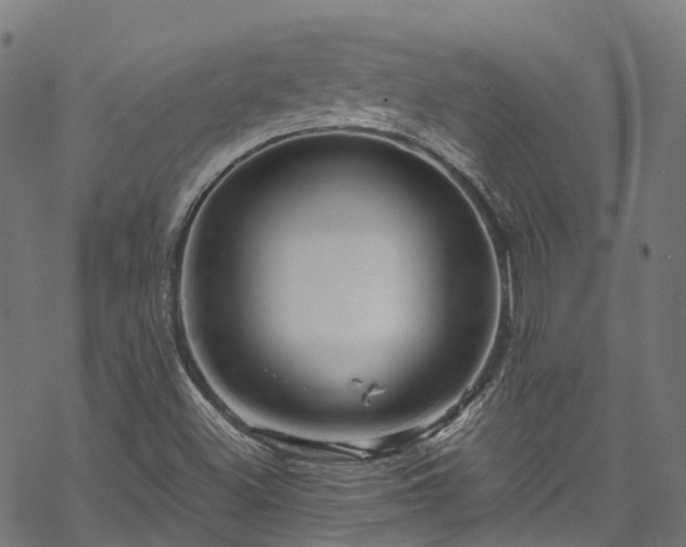 X0000070211500200605301349