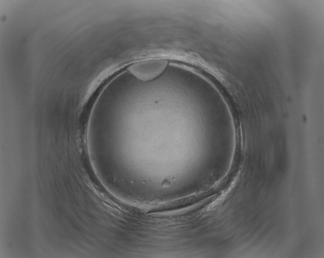 X0000070211501200605301349