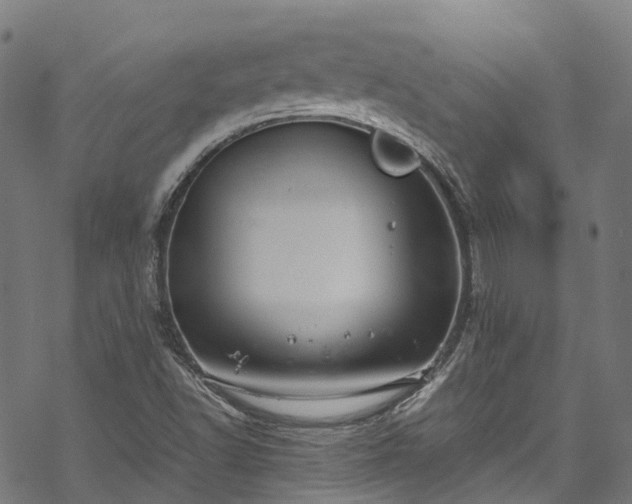 X0000070211502200605301349