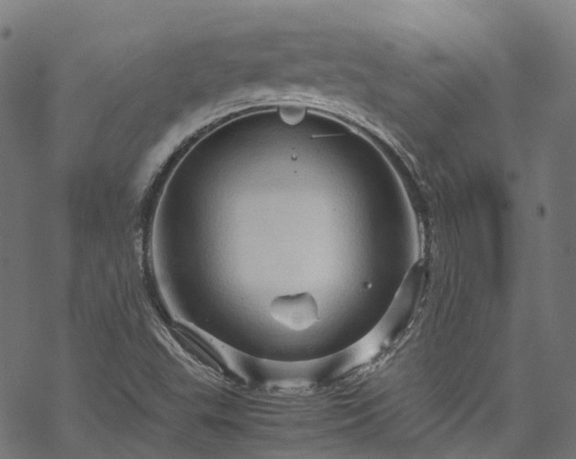 X0000070211503200605301349