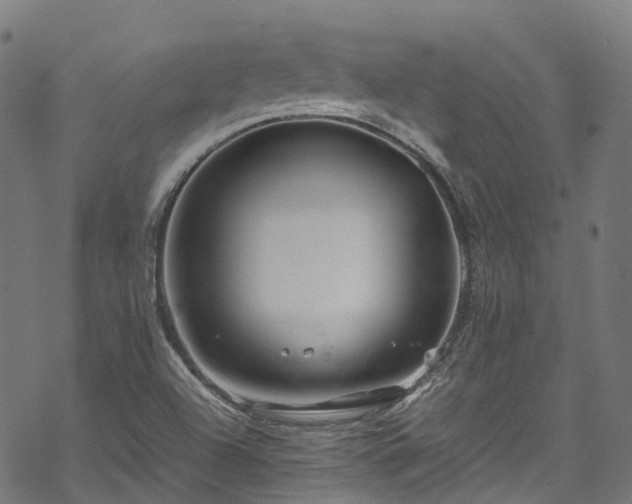 X0000070211504200605301349