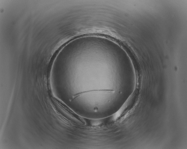 X0000070211505200605301349