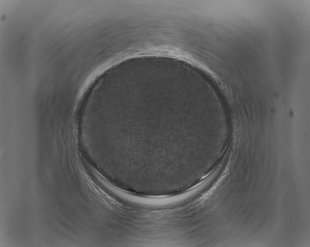 X0000070211506200605301349