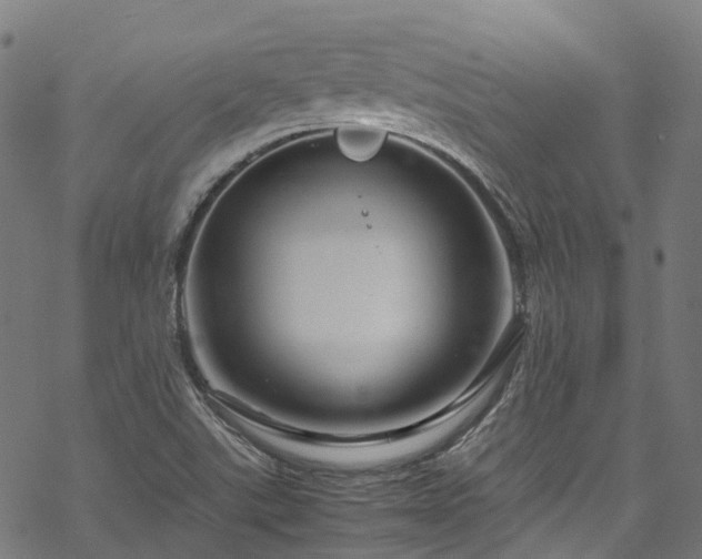 X0000070211507200605301349