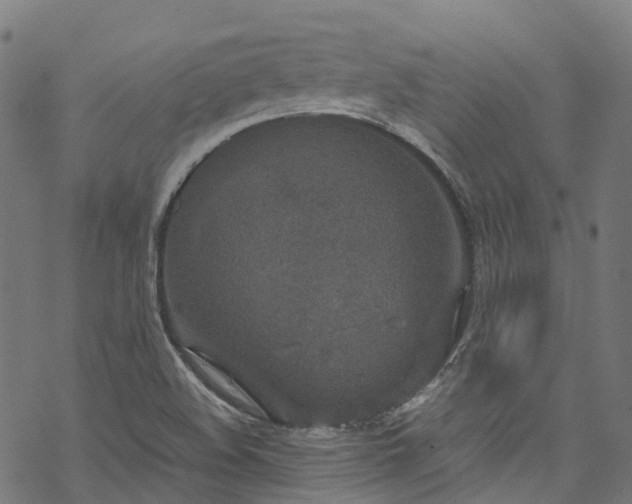 X0000070211508200605301349