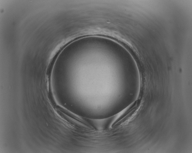 X0000070211509200605301349