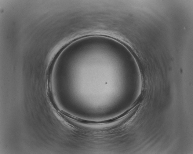 X0000070211511200605301349